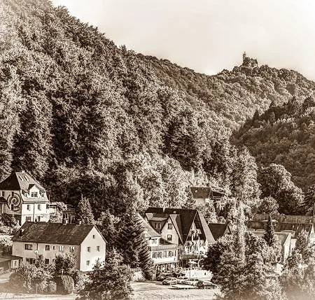 Hotel-gasthof Frankengold 3* Goessweinstein