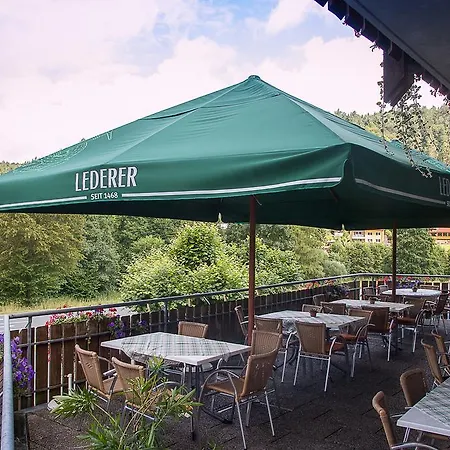 Guest house Hotel-gasthof Frankengold 3*